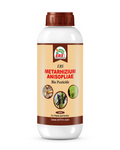 EBS METARHIZIUM ANISOPLIAE BIO PESTICIDE