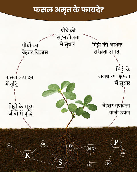 Infographic illustrating benefits of Fasal Amrit organic fertilizer in Hindi, including increased yield, improved soil water retention, better nutrient absorption of P, N, K, and soil microbial growth.