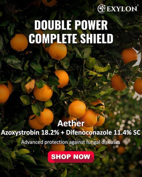 Exylon Aether (Azoxystrobin 18.2% + Difenoconazole 11.4% SC) – Broad-Spectrum Fungicide for Groundnut, Wheat, Vegetables