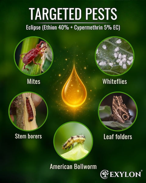 Exylon Eclipse (Ethion 40% + Cypermethrin 5% EC) – Broad-Spectrum Pest Control for Cotton, Paddy, Vegetables