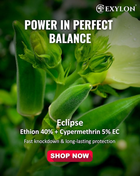 Exylon Eclipse (Ethion 40% + Cypermethrin 5% EC) – Broad-Spectrum Pest Control for Cotton, Paddy, Vegetables