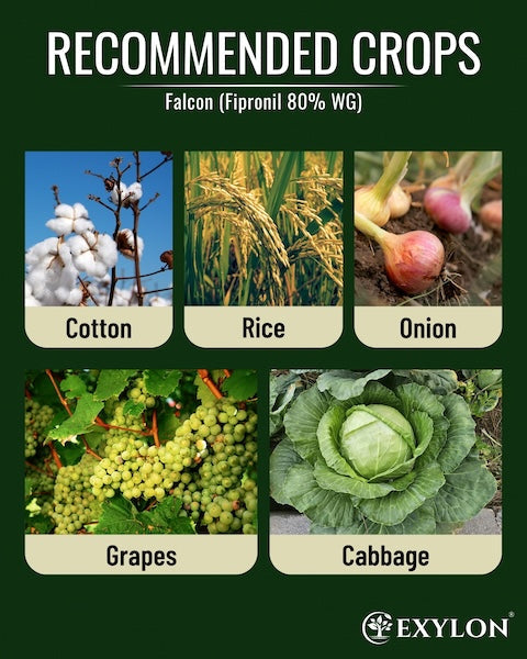 Exylon Falcon (Fipronil 80% WG) – High-Efficacy Pest Control for Paddy, Cotton, Vegetables