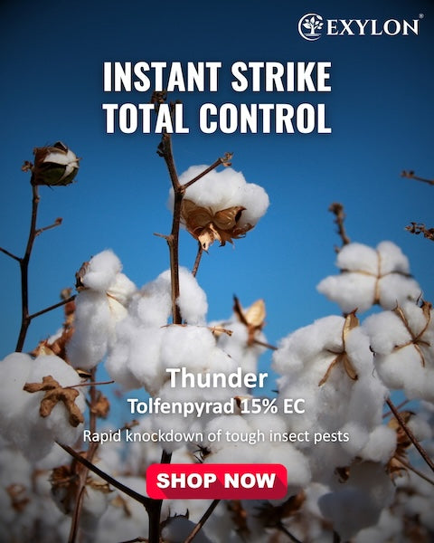 Exylon Thunder (Tolfenpyrad 15% EC) – Effective Pest Control for Groundnut, Chilli, Vegetables