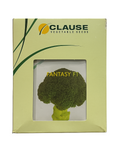 FANTASY F1  - Broccoli