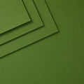 Fern ColorWheel Cardstock 8.5" x 11" - 10 Sheets