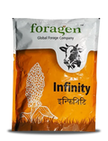 INFINITY (MULTI-CUT SORGHUM SUDAN GRASS)