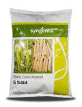 G5414 BABYCORN SEEDS