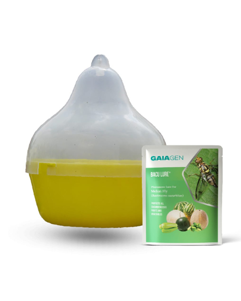 Gaiagen Bacu Lure® Combo - Melon Fly (Bactrocera cucurbitae) - (10 Lures and 10 Fligh-T® Trap)