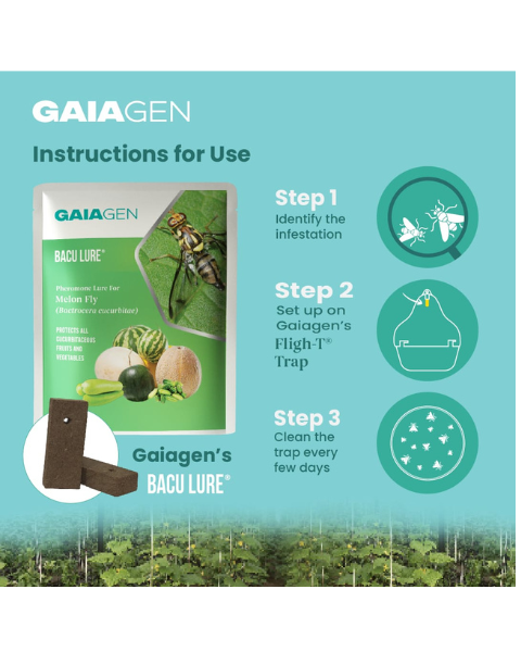 Gaiagen Bacu Lure® Combo - Melon Fly (Bactrocera cucurbitae) - (10 Lures and 10 Fligh-T® Trap)