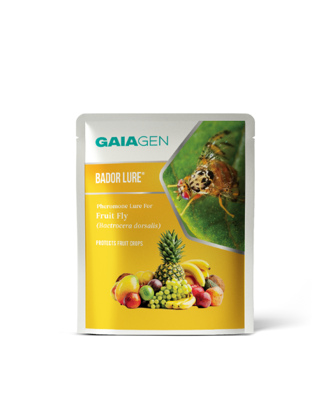 Gaiagen Bador Lure® Combo - Fruit Fly (Bactrocera dorsalis) - (10 Lures and 10 Fligh-T® Trap)