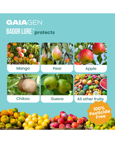 Gaiagen Bador Lure® Combo - Fruit Fly (Bactrocera dorsalis) - (10 Lures and 10 Fligh-T® Trap)