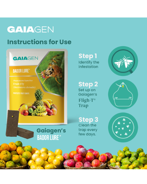 Gaiagen Bador Lure® Combo - Fruit Fly (Bactrocera dorsalis) - (10 Lures and 10 Fligh-T® Trap)