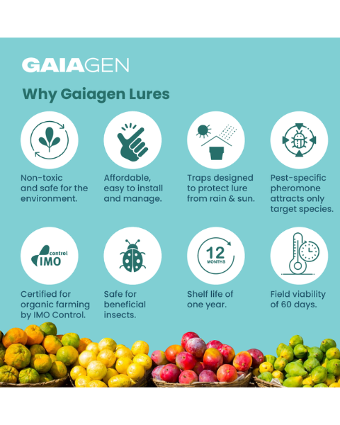 Gaiagen Bador Lure® Combo - Fruit Fly (Bactrocera dorsalis) - (10 Lures and 10 Fligh-T® Trap)