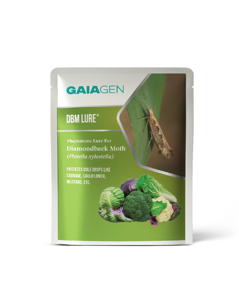 Gaiagen DBM Lure® Combo - Diamondback Moth (Plutella xylostella) - (10 Lures and 10 Wota-T® Trap)
