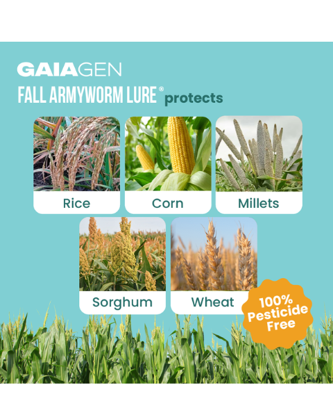 Gaiagen Fall Armyworm Lure Combo (Spodoptera frugiperda) - (10 Lures and 10 Fero-T® Trap)