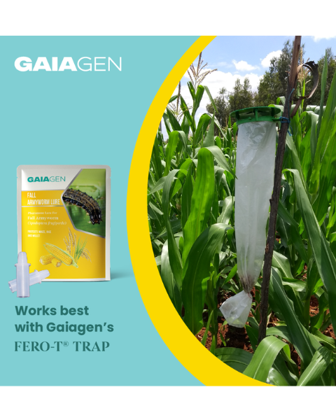 Gaiagen Fall Armyworm Lure Combo (Spodoptera frugiperda) - (10 Lures and 10 Fero-T® Trap)