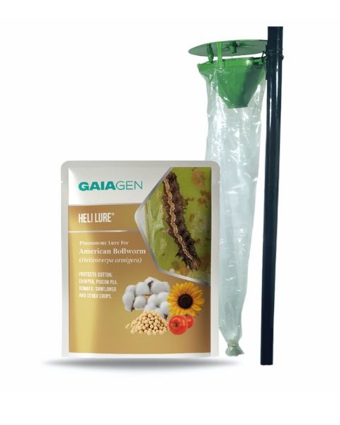 Gaiagen Heli Lure® Combo - American Bollworm (Helicoverpa armigera) - (10 Lures and 10 Fero-T® Trap)