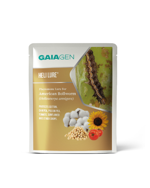 Gaiagen Heli Lure® Combo - American Bollworm (Helicoverpa armigera) - (10 Lures and 10 Fero-T® Trap)