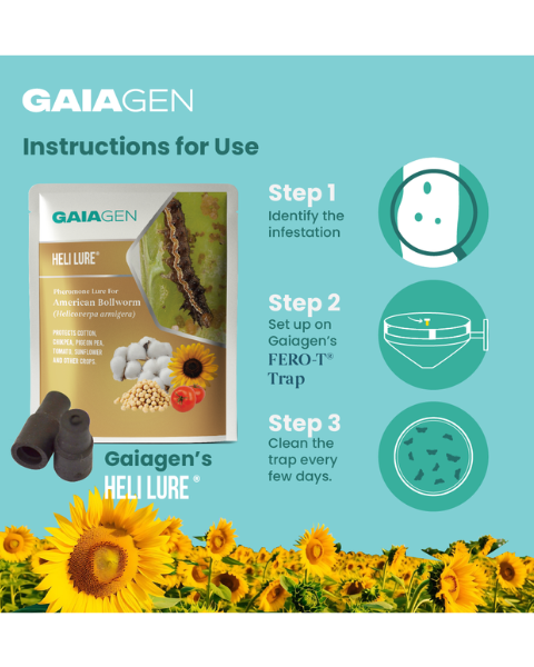 Gaiagen Heli Lure® Combo - American Bollworm (Helicoverpa armigera) - (10 Lures and 10 Fero-T® Trap)