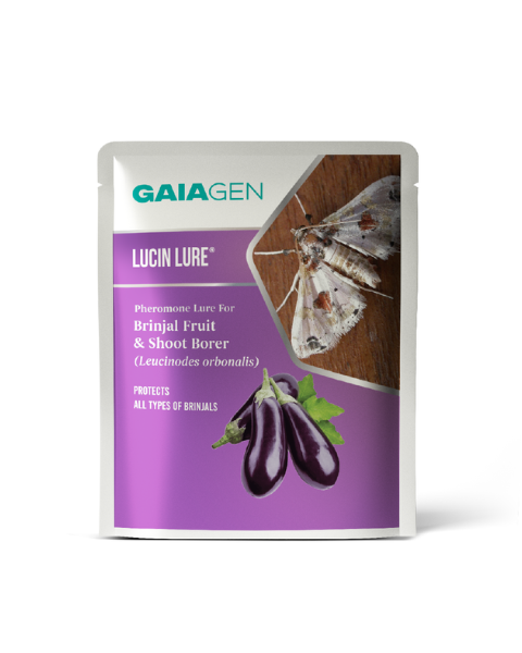Gaiagen Lucin Lure® Combo - Brinjal Fruit & Shoot Borer (Leucinodes orbonalis) - (10 Lures and 10 Wota-T® Trap)