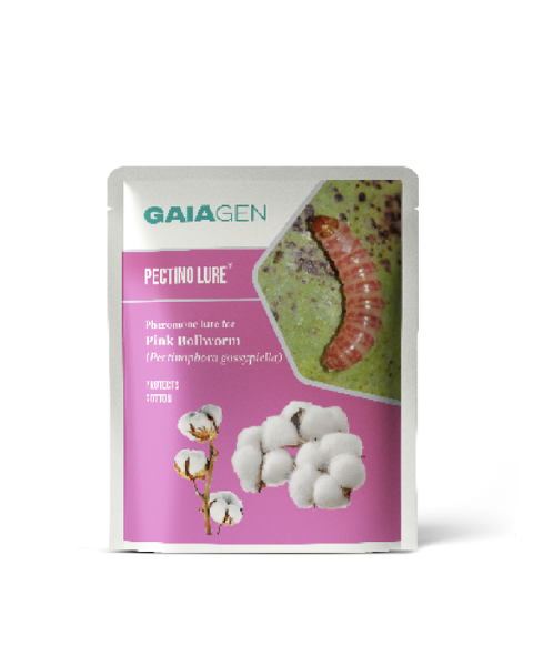 Gaiagen Pectino Lure® Combo - Pink Bollworm (Pectinophora gossypiella) - (10 Lures and 10 Fero-T® Trap)