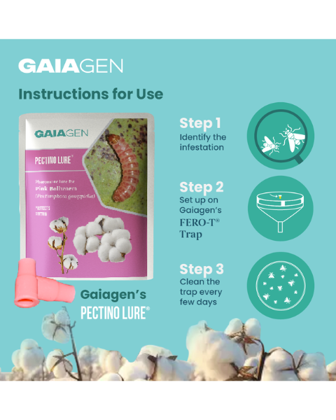 Gaiagen Pectino Lure® Combo - Pink Bollworm (Pectinophora gossypiella) - (10 Lures and 10 Fero-T® Trap)