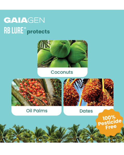 Gaiagen RB Lure® Combo - Rhinoceros Beetle (Oryctes rhinoceros) - (5 Lures and 5 Coco-Trapp®)