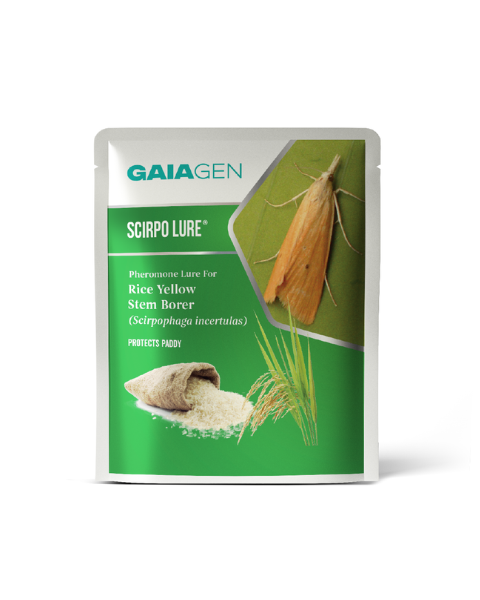 Gaiagen Scirpo Lure® Combo - Rice Yellow Stem Borer (Scirpophaga incertulas) - (10 Lures and 10 Fero-T® Trap)