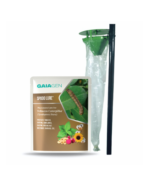 Gaiagen Spodo Lure® Combo - Tobacco Caterpillar (Spodoptera litura) - (10 Lures and 10 Fero-T® Trap)