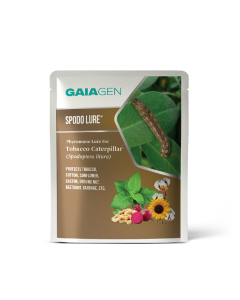 Gaiagen Spodo Lure® Combo - Tobacco Caterpillar (Spodoptera litura) - (10 Lures and 10 Fero-T® Trap)