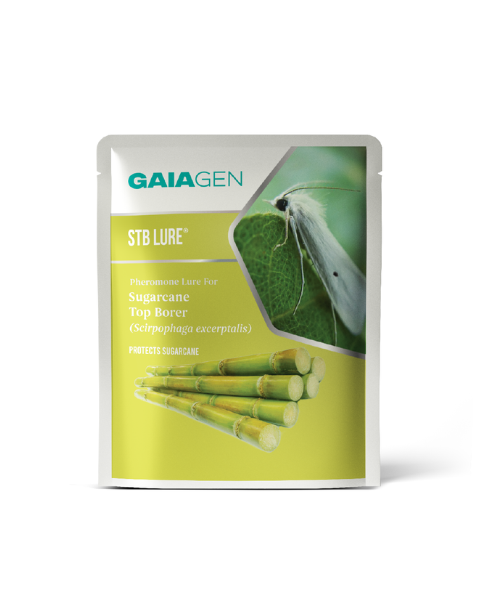 Gaiagen STB Lure® Combo - Sugarcane Top Borer (Scirpophaga excerptalis) - (10 Lures and 10 Wota-T® Trap)