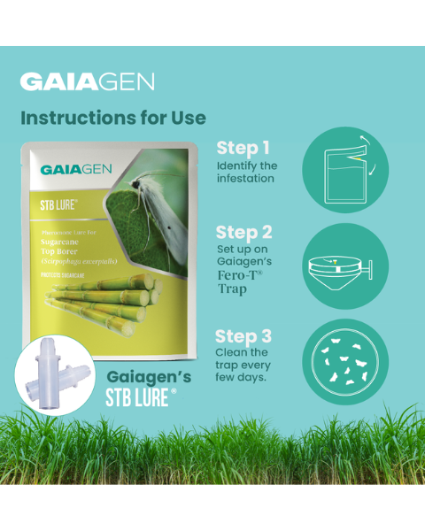 Gaiagen STB Lure® Combo - Sugarcane Top Borer (Scirpophaga excerptalis) - (10 Lures and 10 Wota-T® Trap)