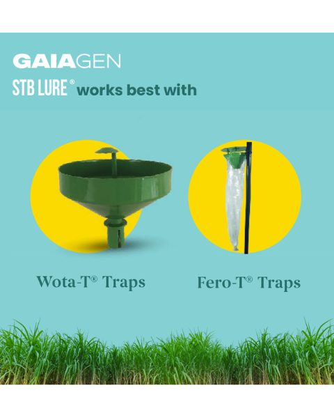 Gaiagen STB Lure® Combo - Sugarcane Top Borer (Scirpophaga excerptalis) - (10 Lures and 10 Fero-T® Trap)