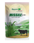 GENTEX HY. FODDER BAJRA MISSILE SEEDS