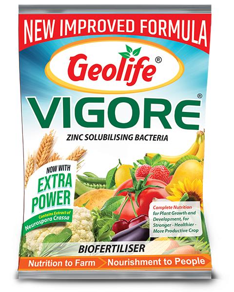 Geolife Vigore - Advanced Bio Fertilizer for Higher Yield