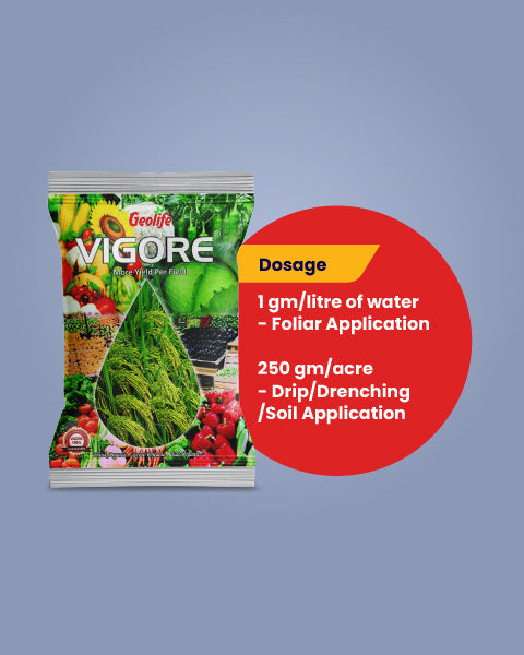 Geolife Vigore - Advanced Bio Fertilizer for Higher Yield