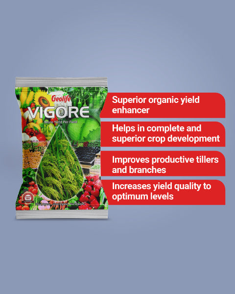 Geolife Vigore - Advanced Bio Fertilizer for Higher Yield