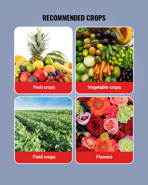 Geolife Vigore - Advanced Bio Fertilizer for Higher Yield