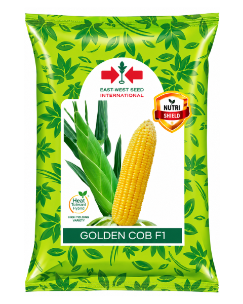 Golden Cob Nutrishield Sweet Corn Seeds