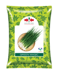 GREEN MAGIC Onion Seeds