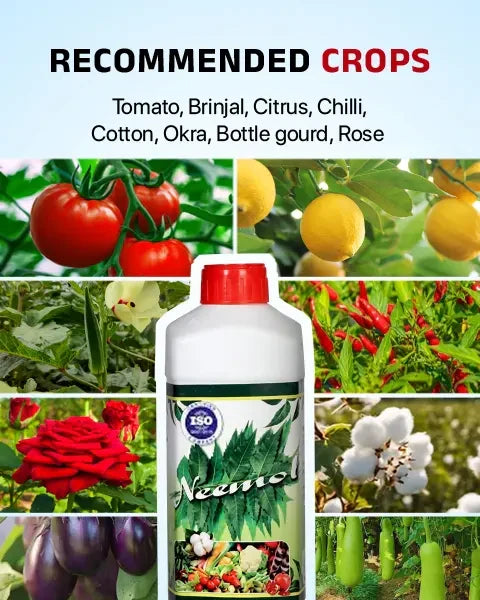 Image showing recommended crops for Neemol Insecticide like tomato, rose, citrus, and more