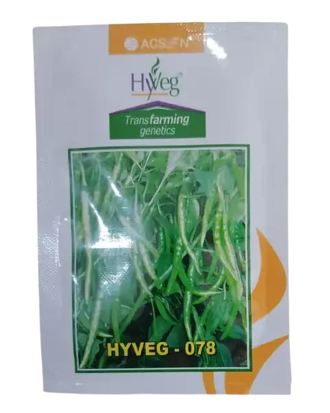 Packet of HYVEG 078 Chilli seeds
