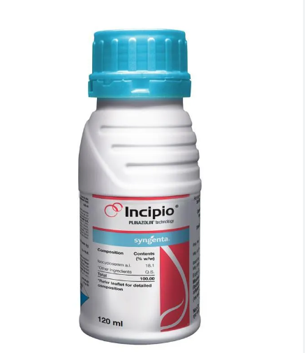 Syngenta Incipio Insecticide bottle contains Isocycloseram 18.1% W/W SC.