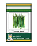 Indam 4985 Chilli Seeds