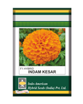 Indam Kesar Marigold- Tall Plant, Bright Orange, Large Flowers, Honeycomb like