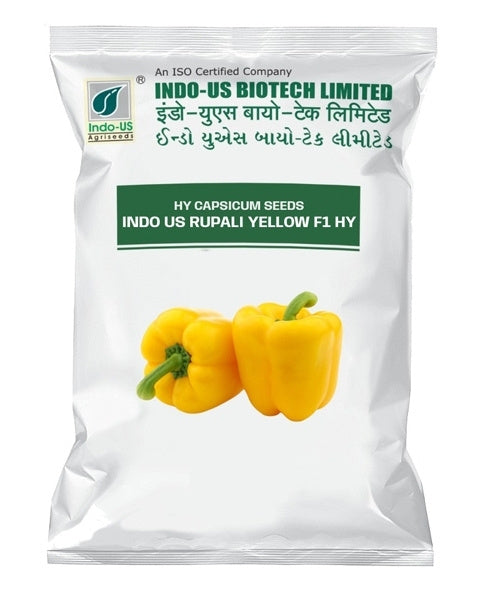 INDO US CAPSICUM RUPALI YELLOW F1 HY