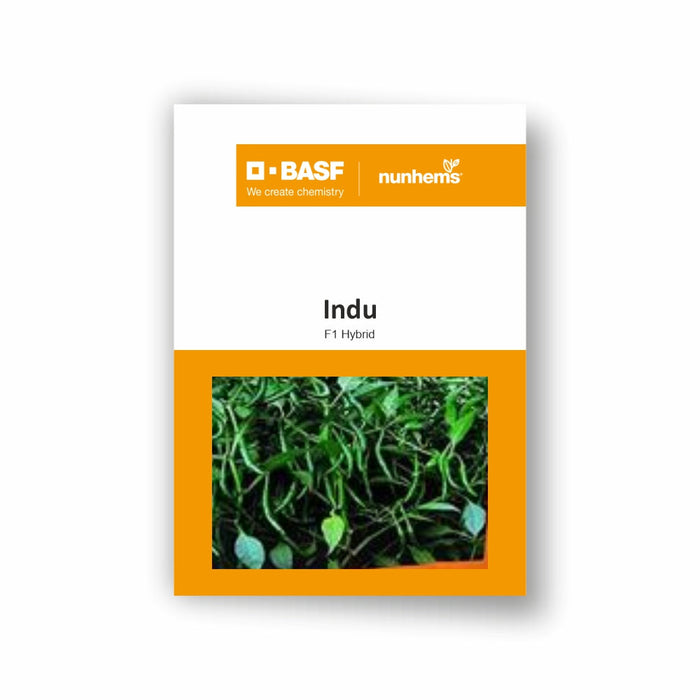 INDU F1 CHILLI SEEDS