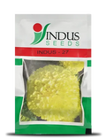 INDUS 27 MARIGOLD (गेंदा )