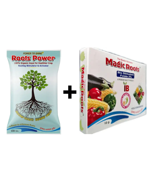 INFINITE COMBO (MAGIC ROOTS + ROOTS POWER)