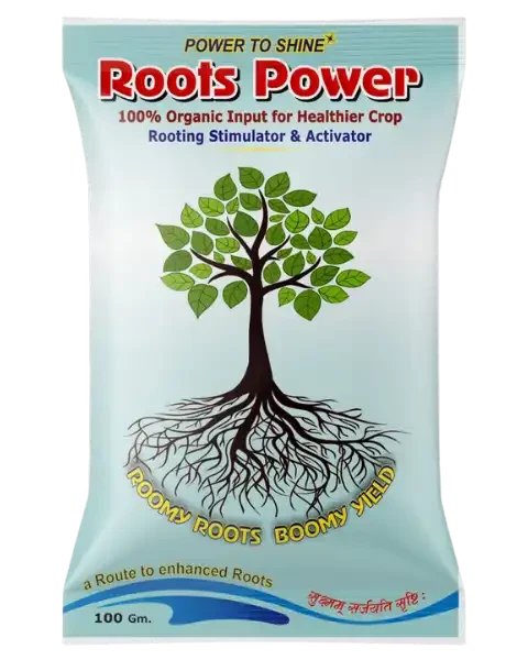 INFINITE COMBO (MAGIC ROOTS + ROOTS POWER)